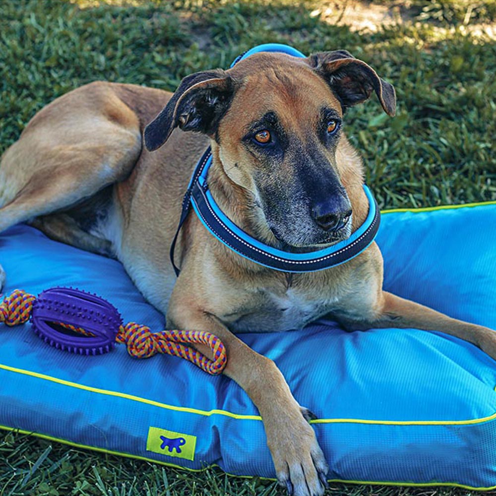 Ferplast panier chien chat - coussin orthopédique chien - lavable en machine - tapis chien - lit chat chien - imperméable &
