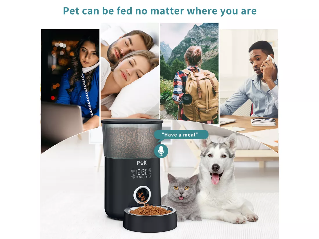 p&k LCD Distributeur Croquettes 4L Chats/Chiens Distributeur Automatique de Nourriture avec Bol en Inox Fonction d'enregistrement 5 Repas/Jour,Noir