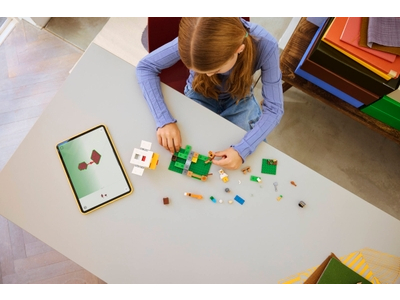 LEGO Kippenboerderij (21585)