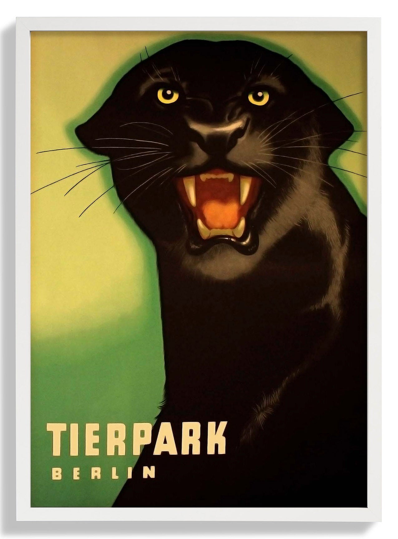 Zoo Tierpark Berlin Panther
