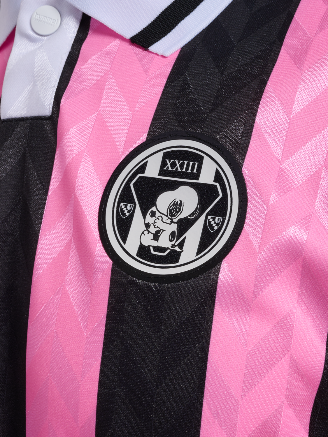 hmlOVERSIZED JERSEY S/S PEANUTS