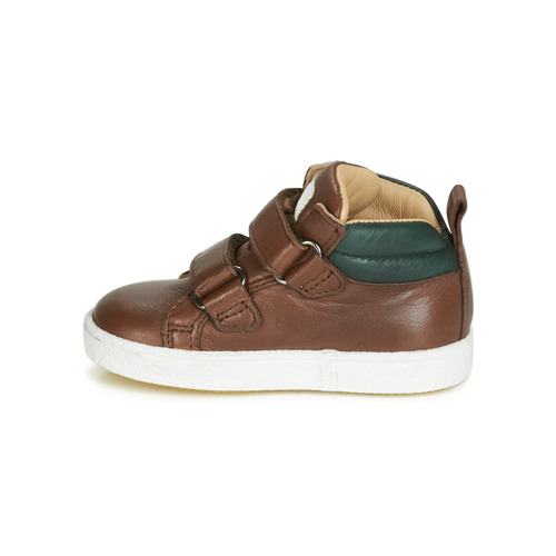 Acebo's - 3040-CUERO-C - Marron