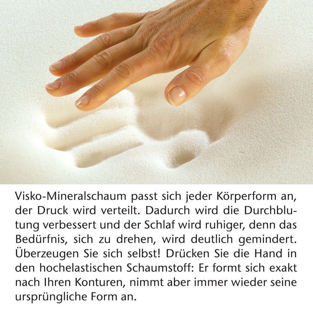 aktivshop Visko Sitz- und Rückenkissen 2in1