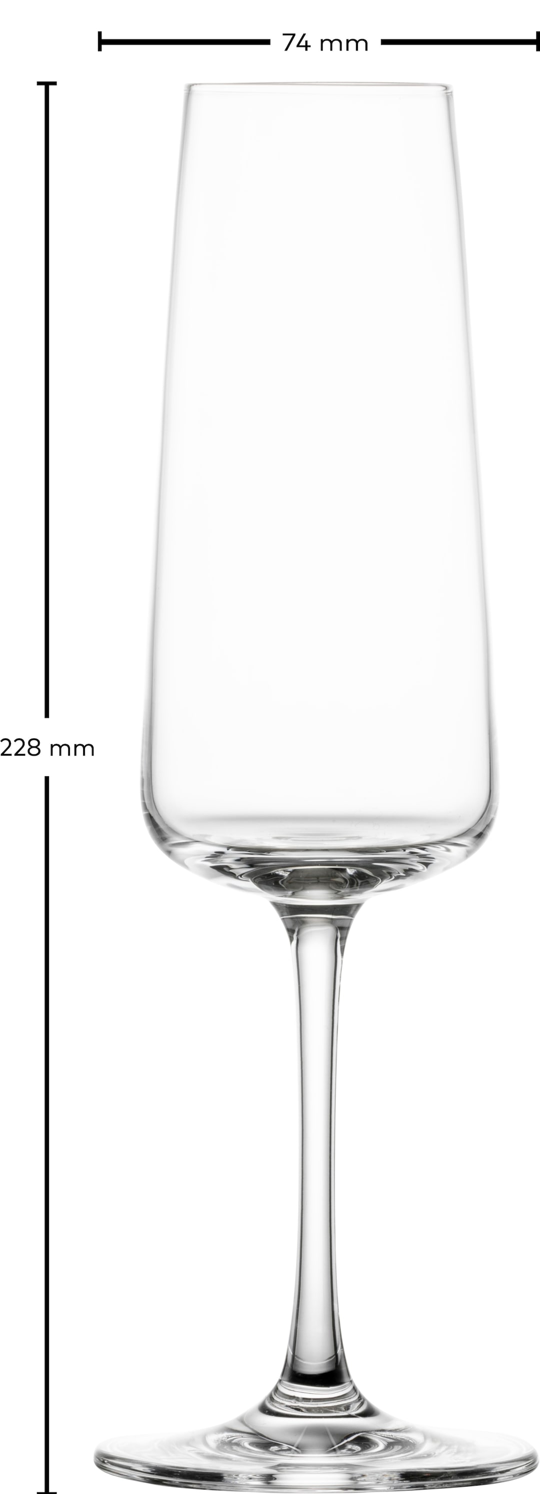 SCHOTT ZWIESEL Sektglas MIOVINO 4er Set 260 ml Kristallglas