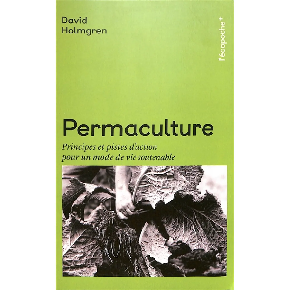 Permaculture : principes et pistes d'action pour un mode de vie soutenable
