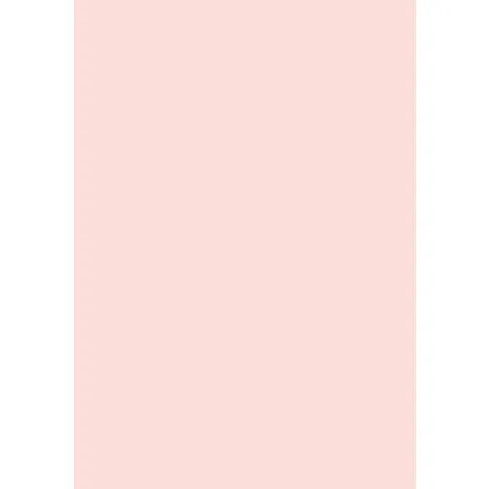 IGEPA farbiges Druckerpapier pastell rosa, 100 Blatt