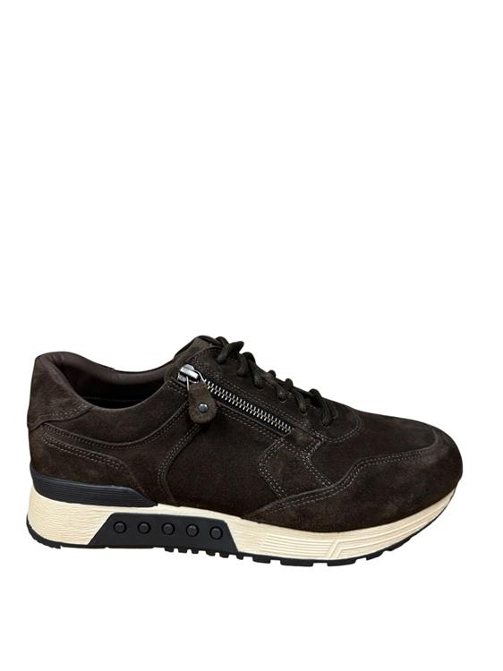 Greve 4299.30 2930 Quinoa suede