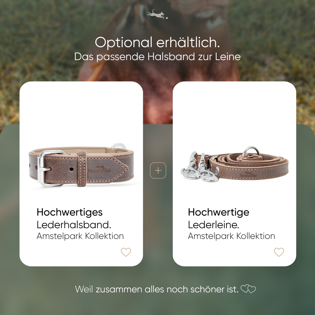 Freudentier Hundeleine aus zertifiziertem Leder 2m, verstellbar dunkelbraun 1,6 cm