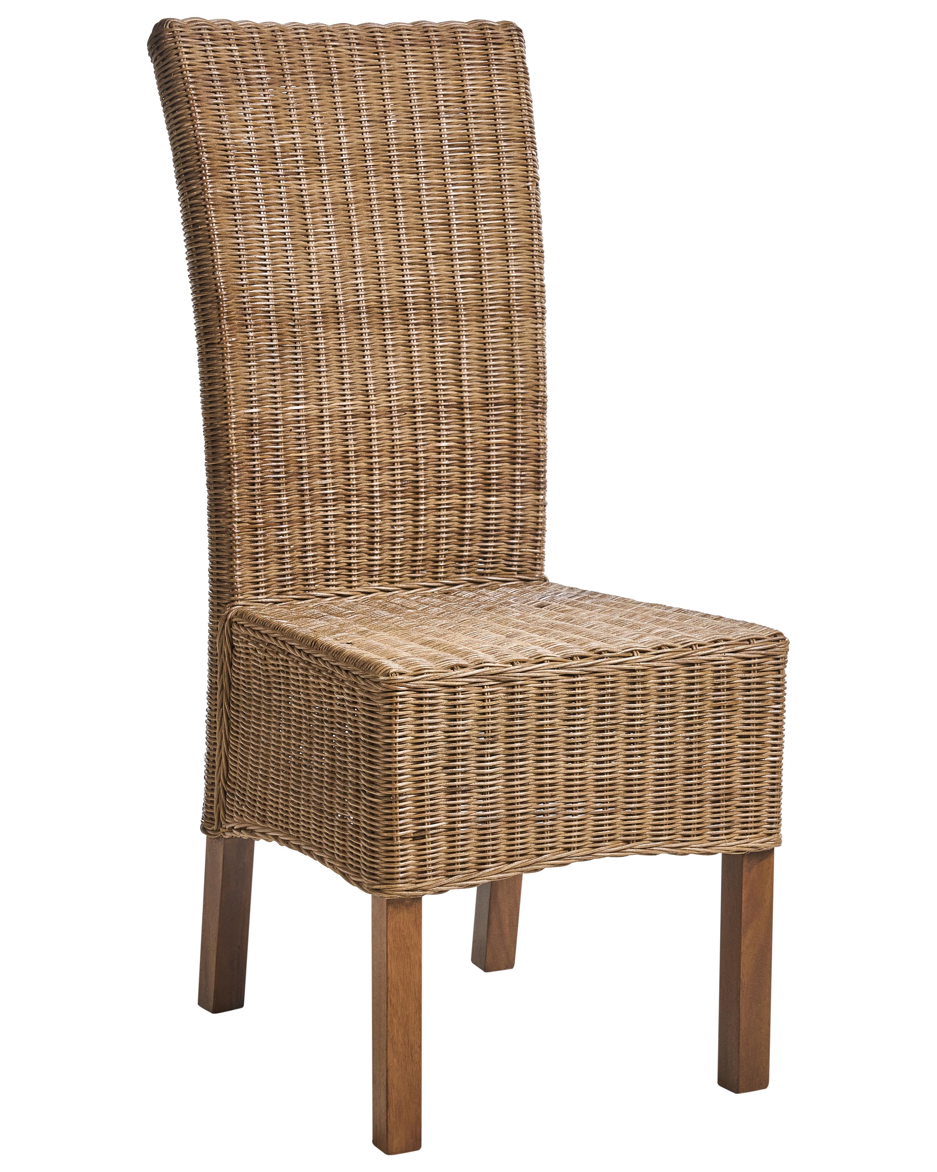Set van 2 eetkamerstoelen ANDES Rotan Bruin