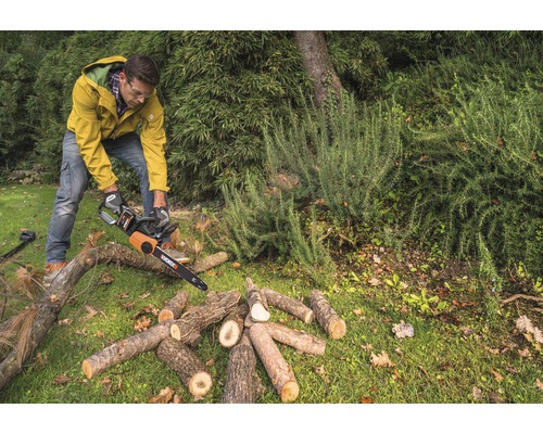 WORX 40V (2 x 20V) 35cm snoerloze kettingzaag WG384E.9 + GRATIS bonusartikel: 20V accu WA3644 (4,0Ah)