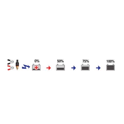 Chargeur Tecmate OptiMate 4 Quad Program Édition PREMIUM Can Bus Universel