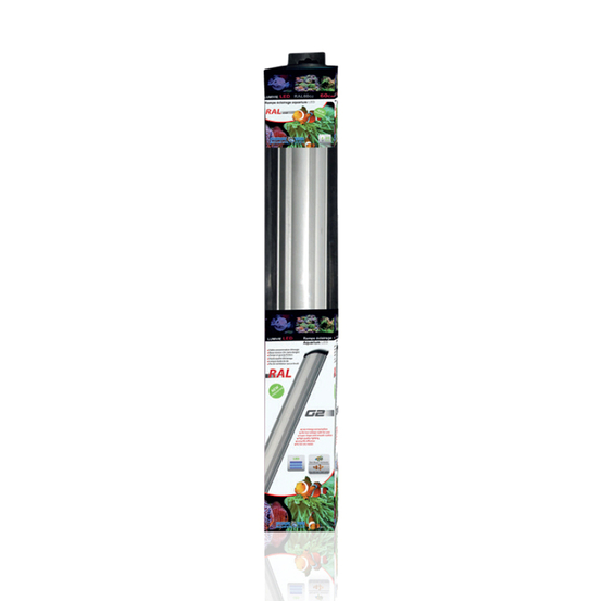 Rampe led 40 cm 6W SBM Blanc/ Bleu