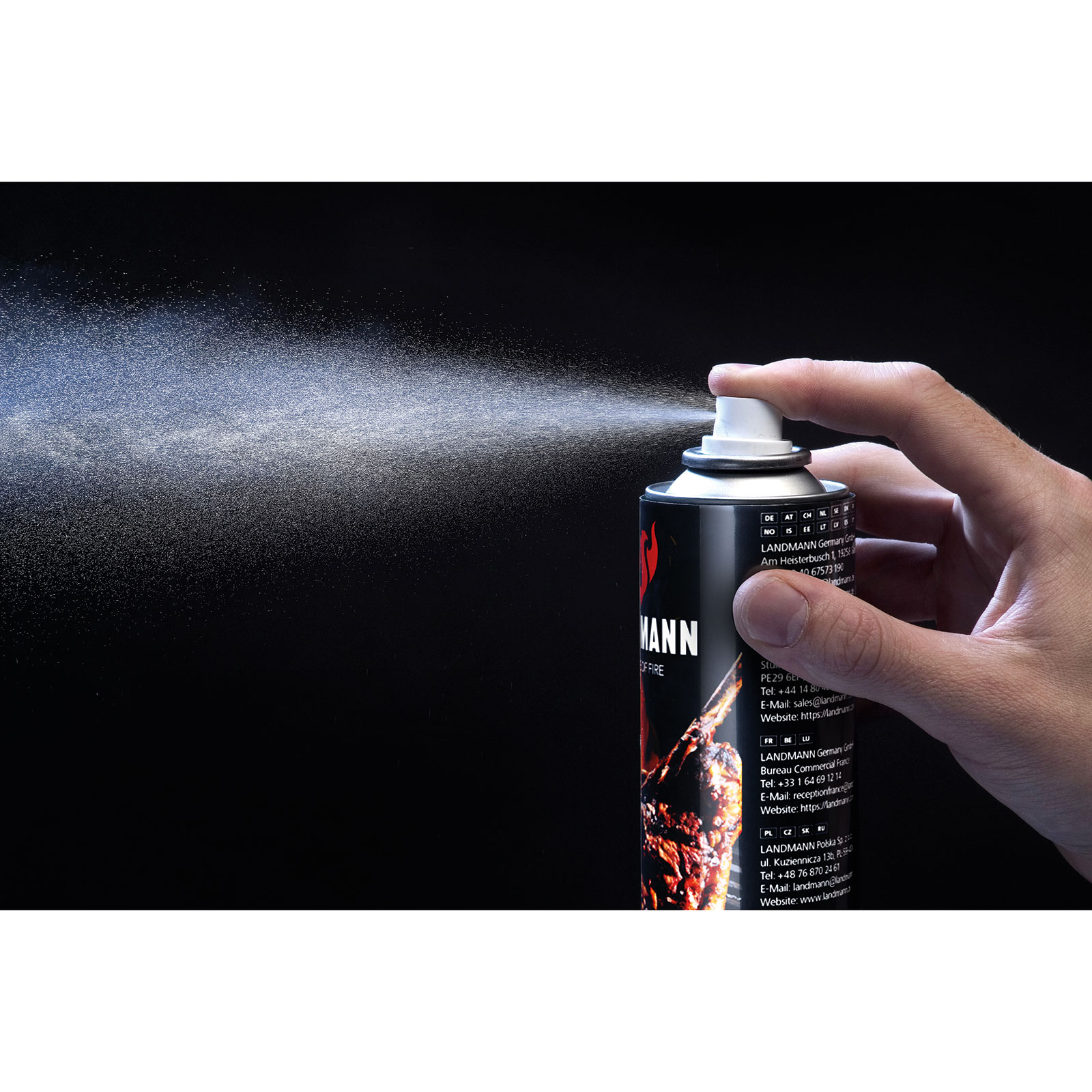 LANDMANN Antihaftspray - transparent - 250 ml