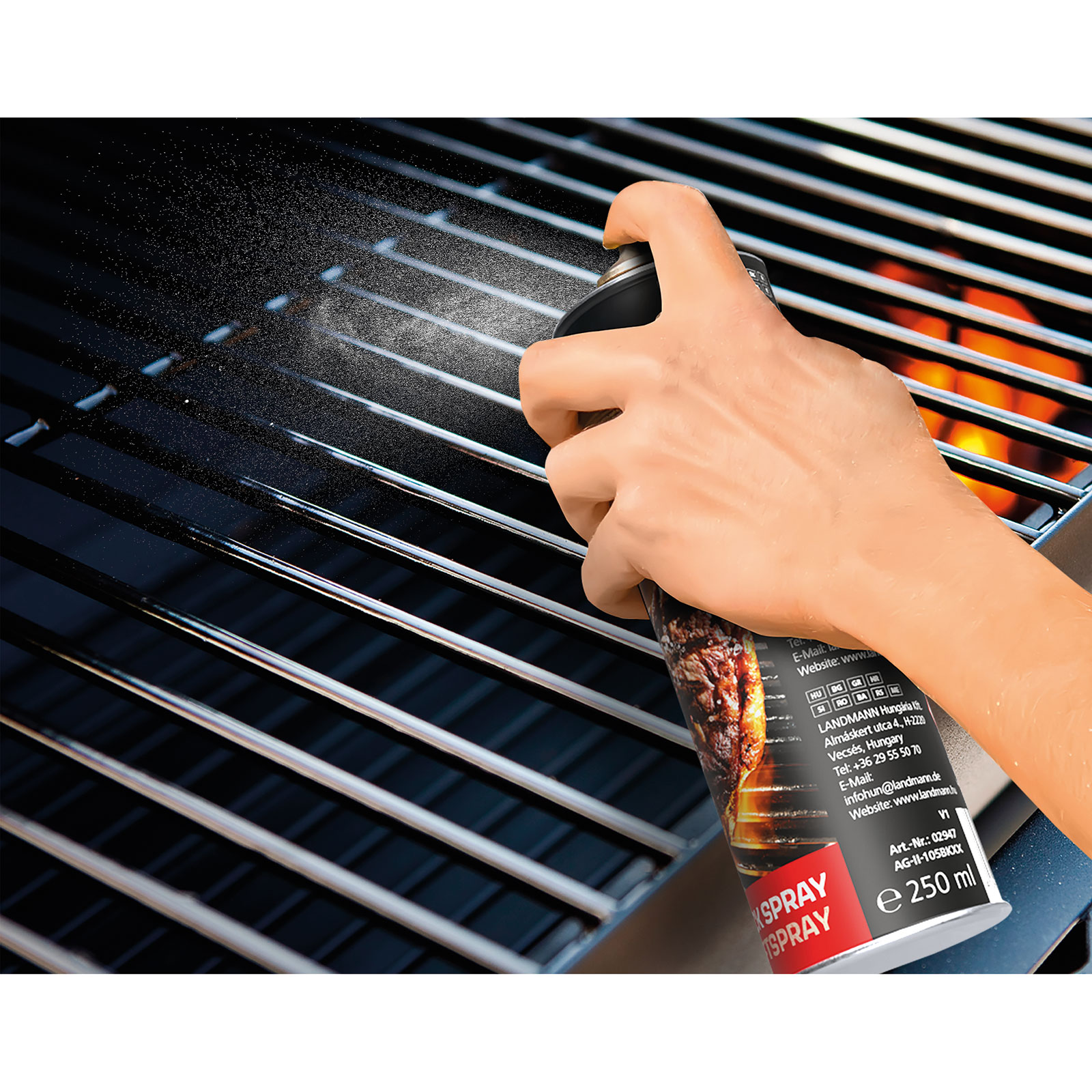 LANDMANN Antihaftspray - transparent - 250 ml