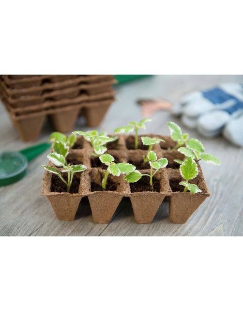 Nature Turfpottrays - Kweekbenodigdheden