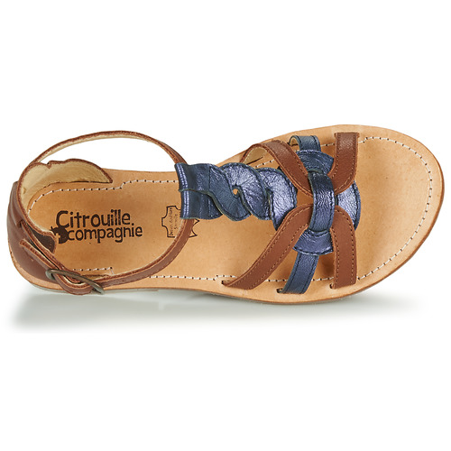 Citrouille et Compagnie - GITANOLO - Marine / camel