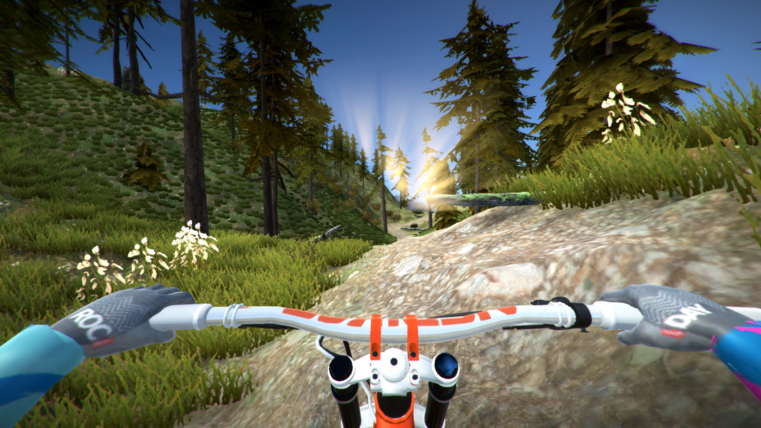 MTB Downhill Simulator- PC