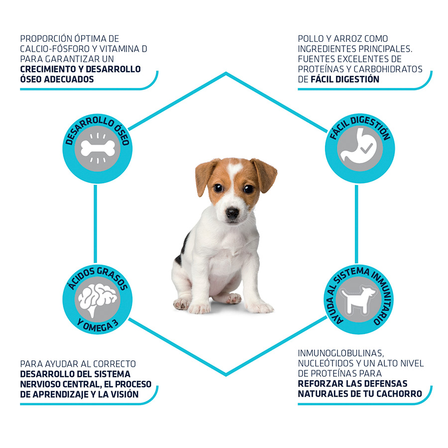 Ração Advance Active Defense Mini Puppy para cães