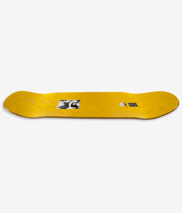 Polar Platt Dragon Land P9 8.625