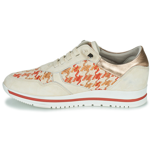 Dorking - ALGAS - Beige / Rouge