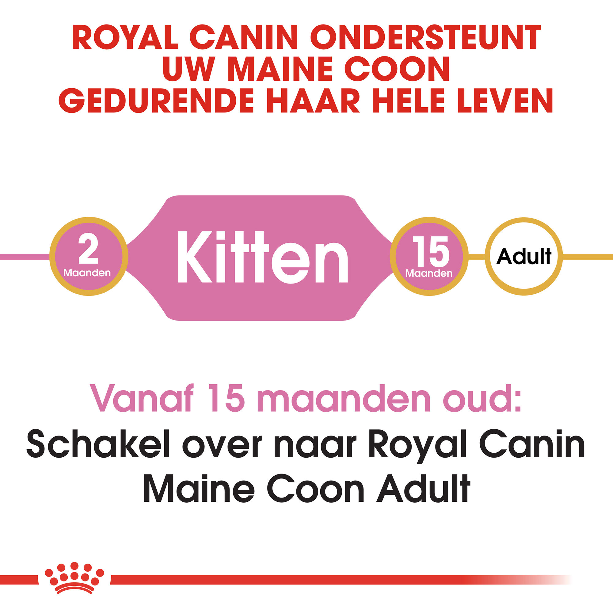 Royal Canin Maine Coon Kitten - Kattenvoer
