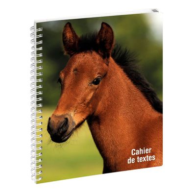 Cahier de textes spiralé Animaux - 17 x 22 cm - disponible dans différentes couleurs - Exacompta