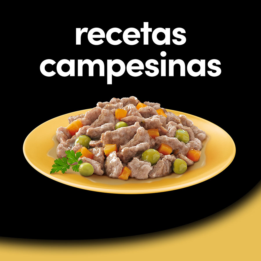 Ração para cães Cesar Country Recipe em molho - Pacote múltiplo