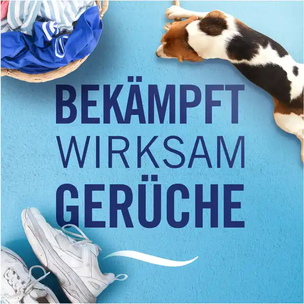 Lufterfrischer Extra Stark Morgentau