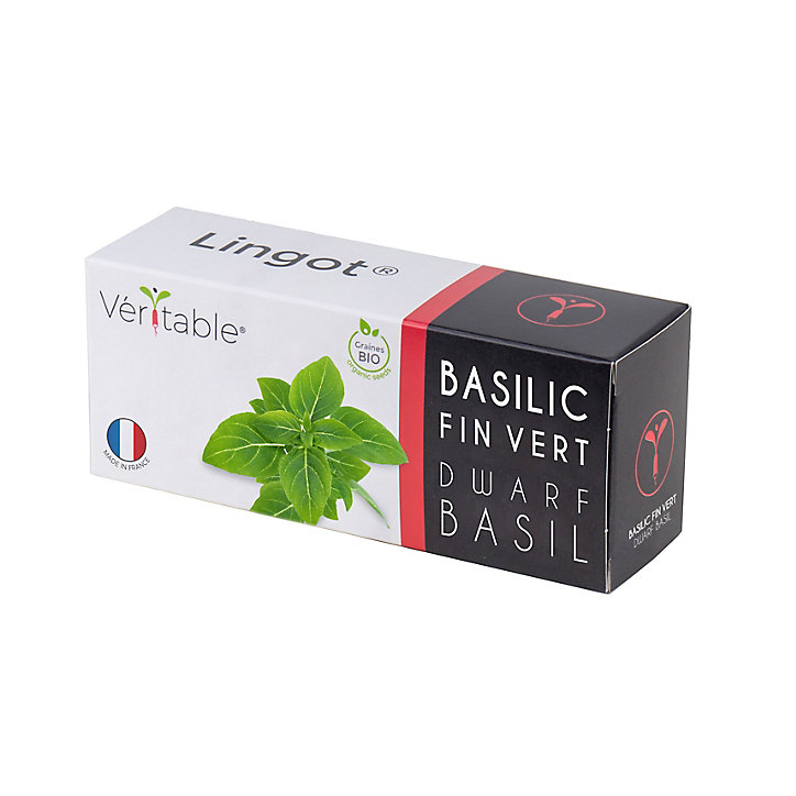 Lingot® Basilic fin vert Bio pour potager Véritable®