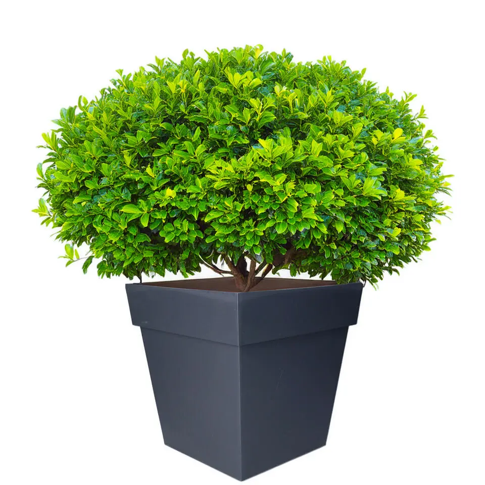 EDA Bloempot Toscane - vierkant - grijs - kunststof - 32 cm