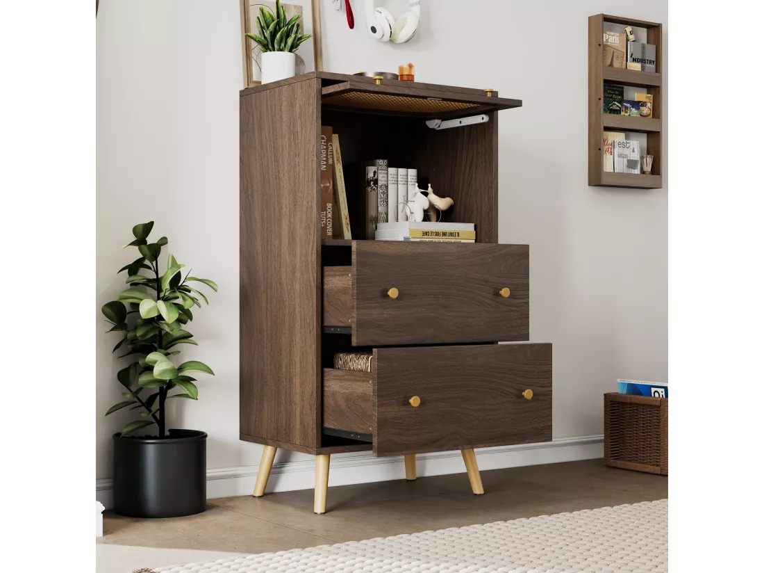 Armoire compacte en noyer avec détails en rotin, deux tiroirs, porte coulissante et pieds dorés – 60 x 40 x 113 cm – Meuble de rangement élégant