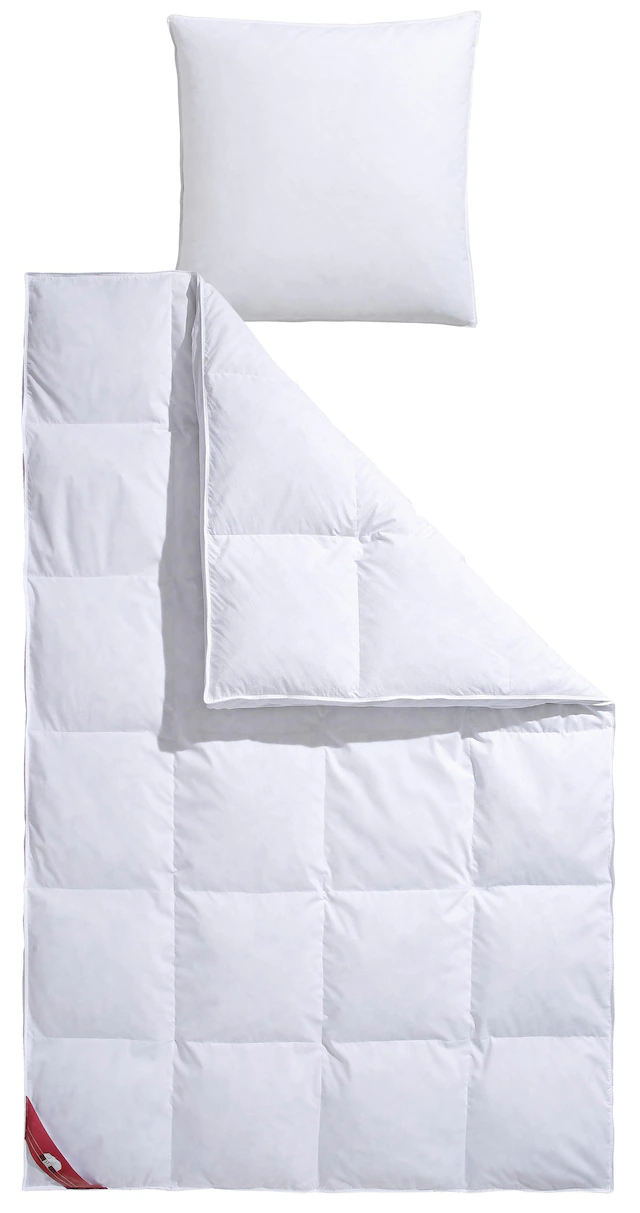 RIBECO Federbettdecke »extra prall, Bettdecken optimal für den Winter« extrawarm Füllung 90Federnund10Daunen 1 Stk. tlg. Bettdecke in 135x200 und 155x220cm Topseller, Made in Germany