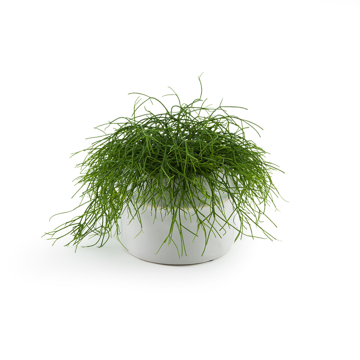 LA REDOUTE INTERIEURS<br>Vaso de cerâmica Ø25 cm, Filipio
