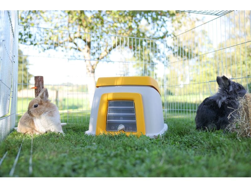 Kerbl Kaninchenbau Bunny Base Komplettset Luxuriöses Zuhause für Langohren