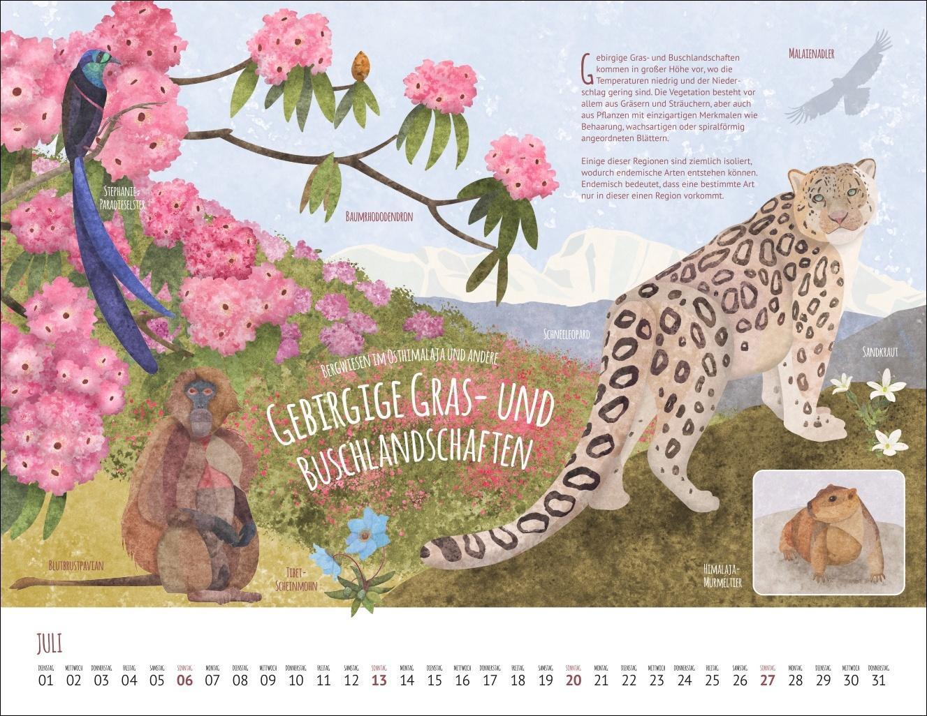 Wo Tiere und Pflanzen zu Hause sind Kalender 2025 - Biome der Welt