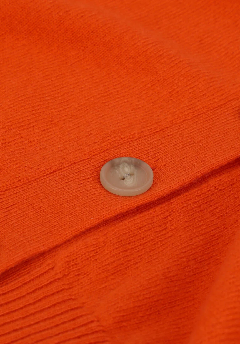 NOT SHY oranje not shy vest juana
