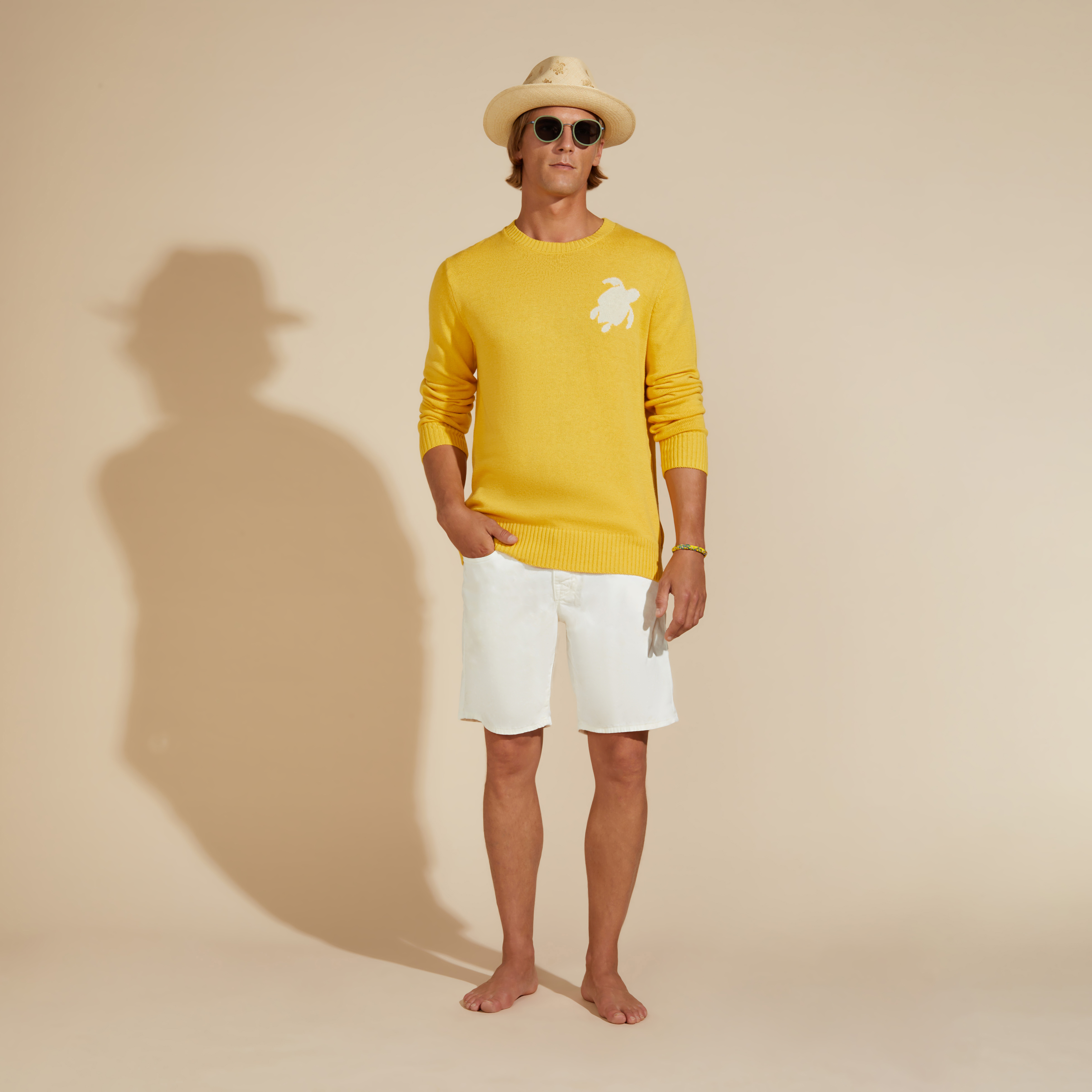 Pullover en Coton et Cachemire Ras-du-cou Homme Tortue