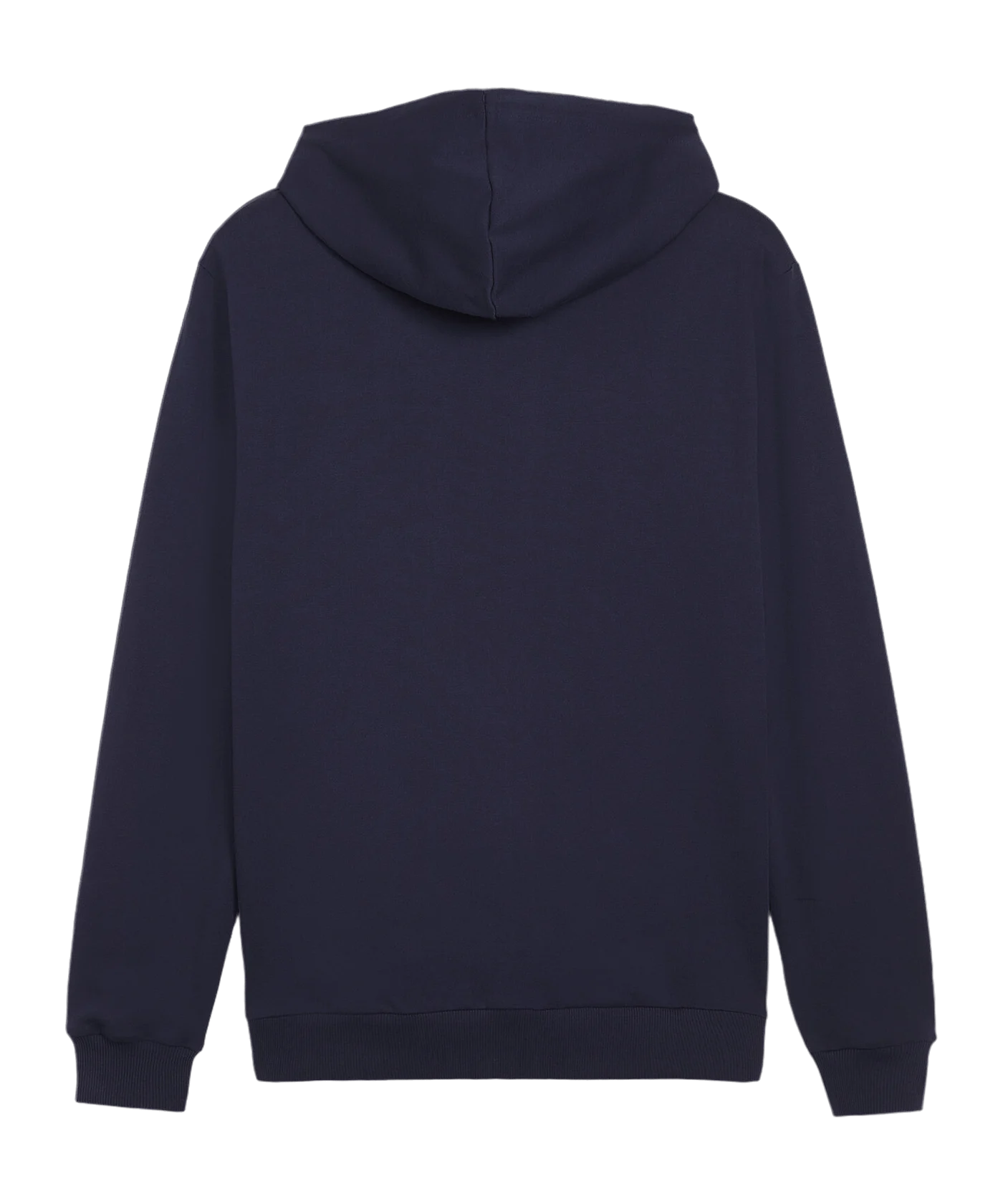 PUMA teamGOAL Casuals hooded jacket blue F06