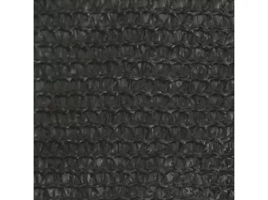 Voile d'ombrage 160 g/m² Anthracite 5x6 m PEHD