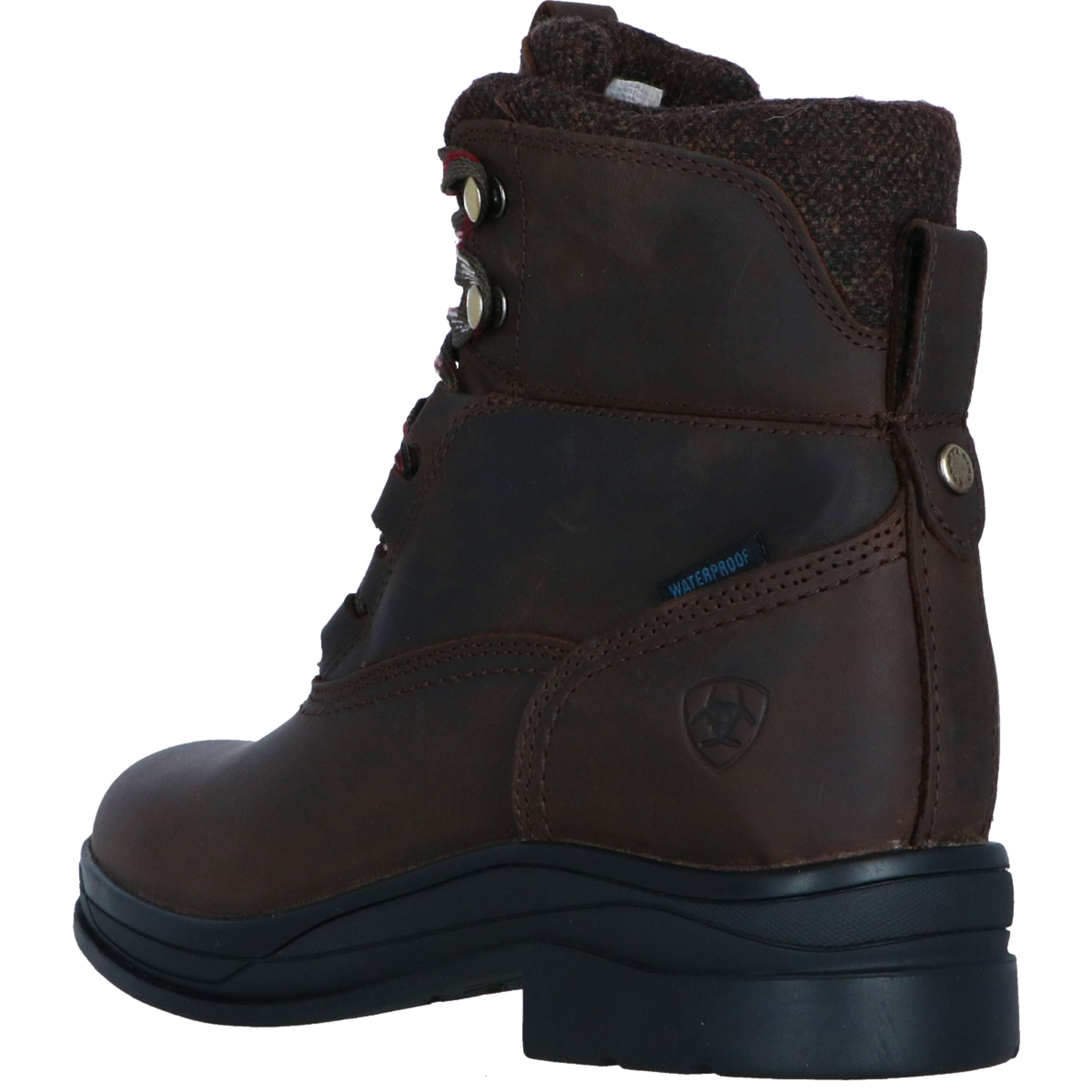 Ariat Stalschoenen Harper Waterproof Dames Chocolat/Willow