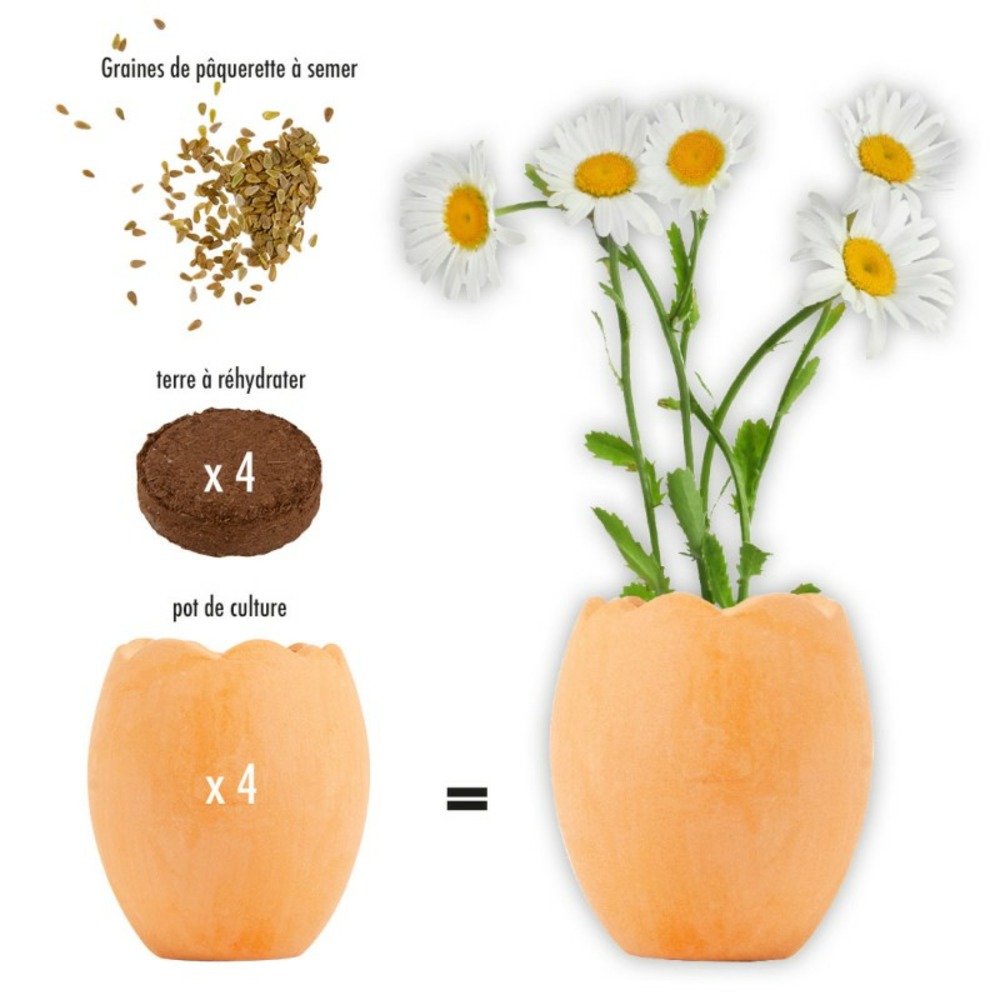 Kit de plantation 4 oeufs de pâques avec fleurs