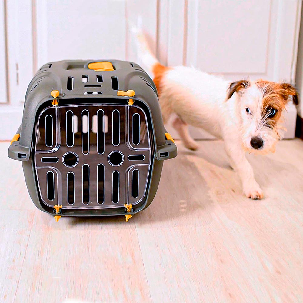 Panier de transport rigide jet 10 pour petits chiens et chats, porte transparente antichoc, grilles de ventilation