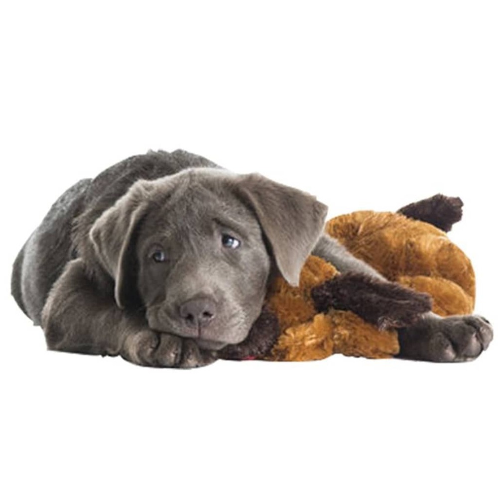 Kit de début de soin des chiots