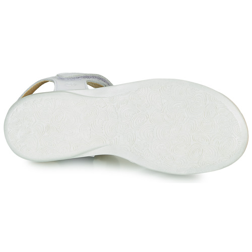 Citrouille et Compagnie - HERTUNE - Blanc