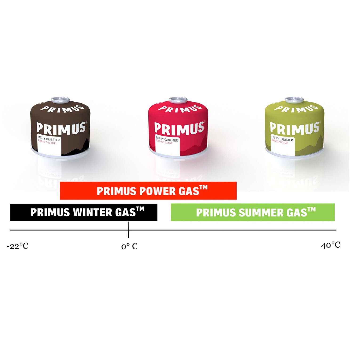 Primus Power Gas 450g L2