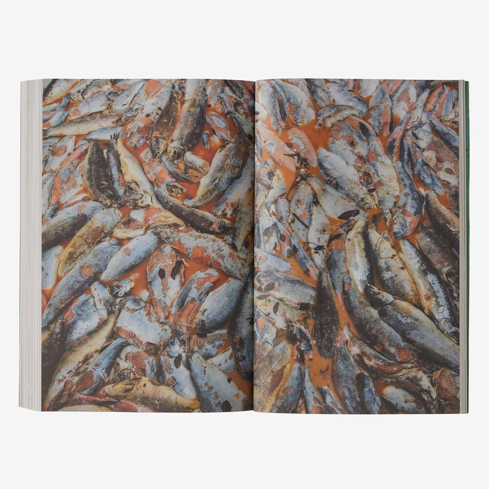 Der neue Fisch: Die Wahrheit über Zuchtlachs und die Folgen, die wir nicht länger ignorieren können (von Simen Stre und Kjetil Stli)