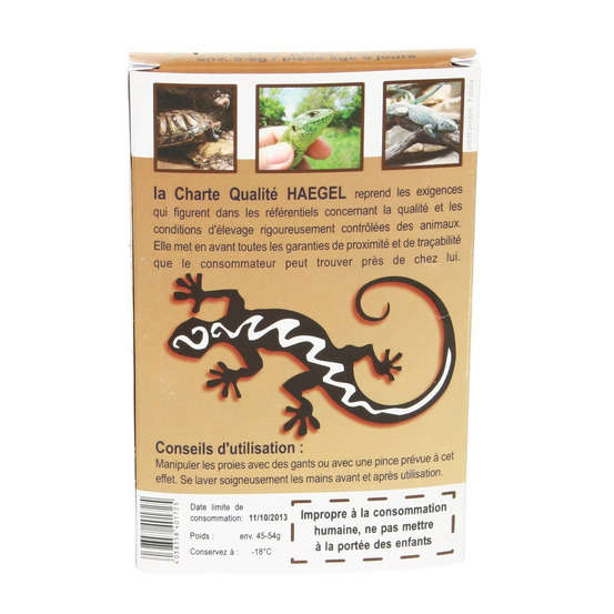 Souris sauteuses 9 jours, 12 gr (6 pièces)