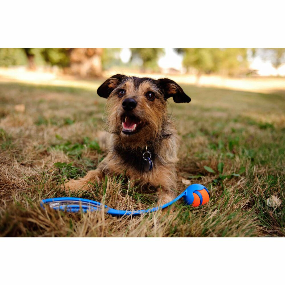 Chuckit Pro Ball Launcher Medium63 cm