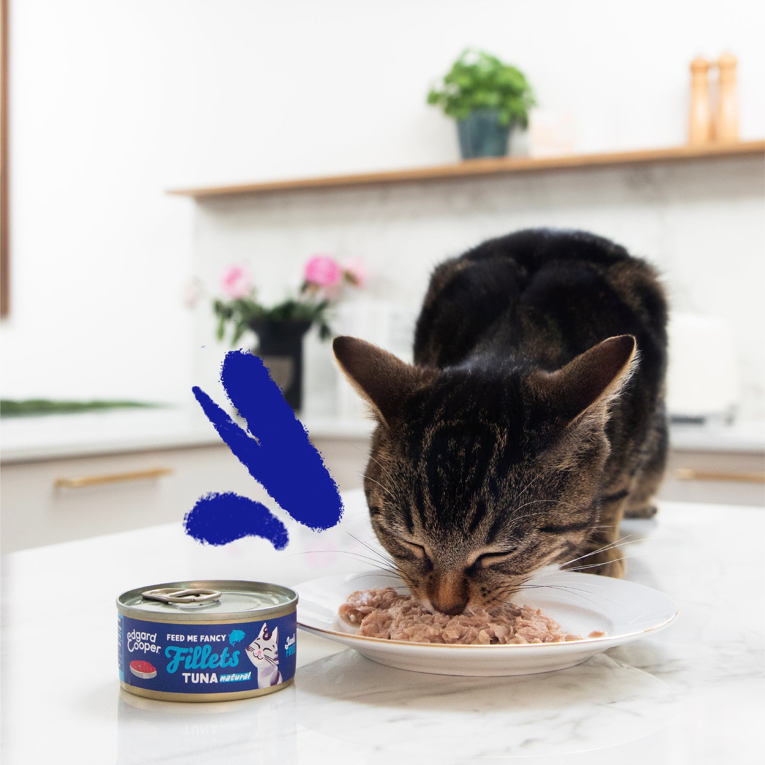 Edgard & Cooper kattenvoer fillets tonijn 70 g
