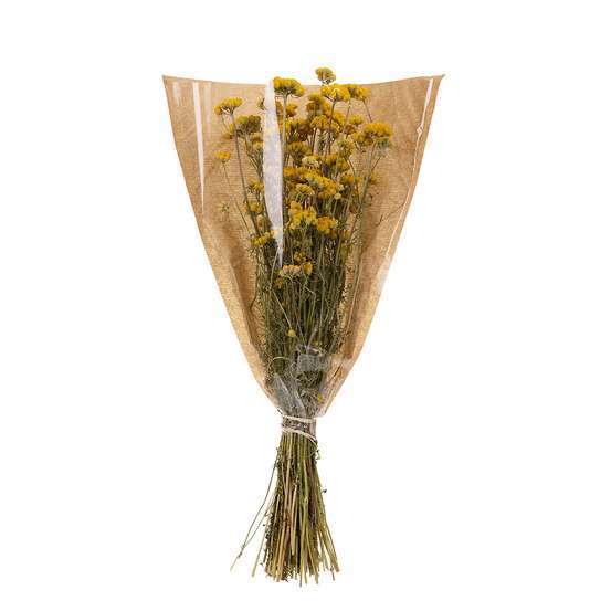 Bouquet de fleurs séchées Lona Jaune